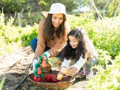 Simple Gardening Tips for Seniors: Enjoy a Relaxing Outdoor Hobby